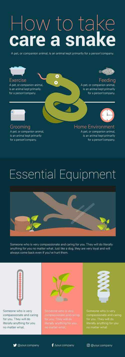 Pet-Care-Infographics Infographics How to Take Care a Snake Infographic Template powerpoint-template keynote-template google-slides-template infographic-template