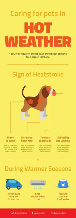 Pet-Care-Infographics-V02-Pet-Care-Powerpoint-Keynote-Google-Slides-Adobe-Illustrator-Infografolio