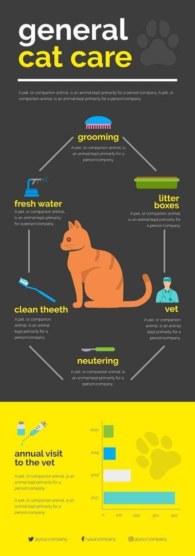 Pet-Care-Infographics-V04-Pet-Care-Powerpoint-Keynote-Google-Slides-Adobe-Illustrator-Infografolio