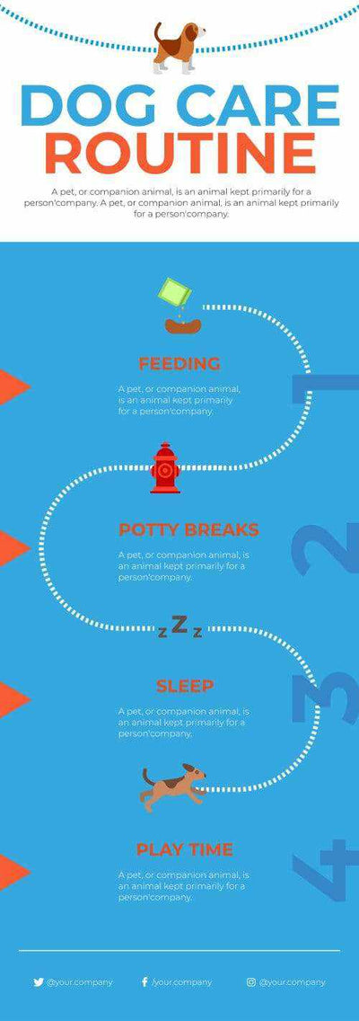 Pet-Care-Infographics-V05-Pet-Care-Powerpoint-Keynote-Google-Slides-Adobe-Illustrator-Infografolio