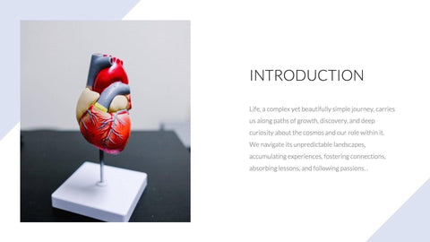 Medical-Presentation-Templates Slides Colorful Professional and Simple Heart Presentation Template S07242301 powerpoint-template keynote-template google-slides-template infographic-template