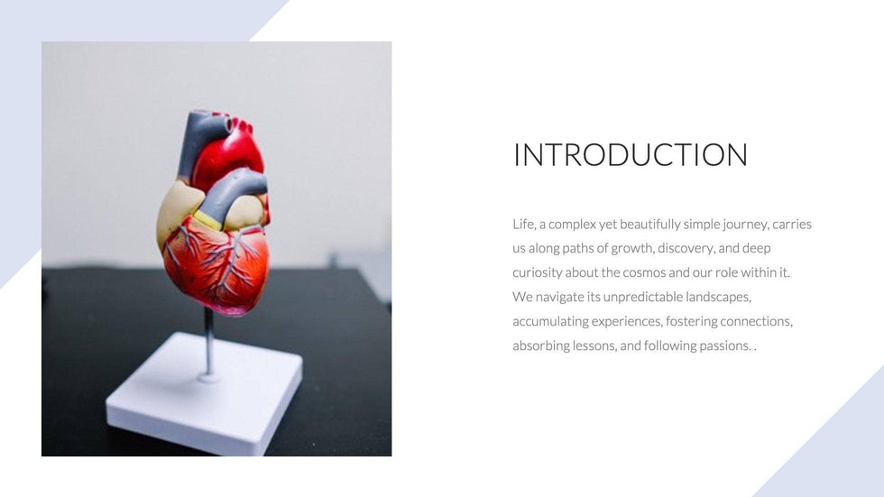 Medical-Presentation-Templates Slides Colorful Professional and Simple Heart Presentation Template S07242301 powerpoint-template keynote-template google-slides-template infographic-template