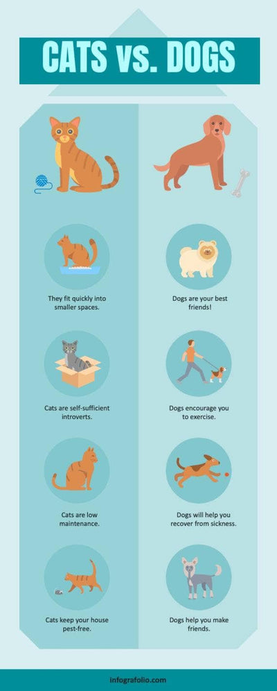 Pet-Care-Infographics Infographics Aquamarine Cats vs Dogs Pets Infographic Template powerpoint-template keynote-template google-slides-template infographic-template