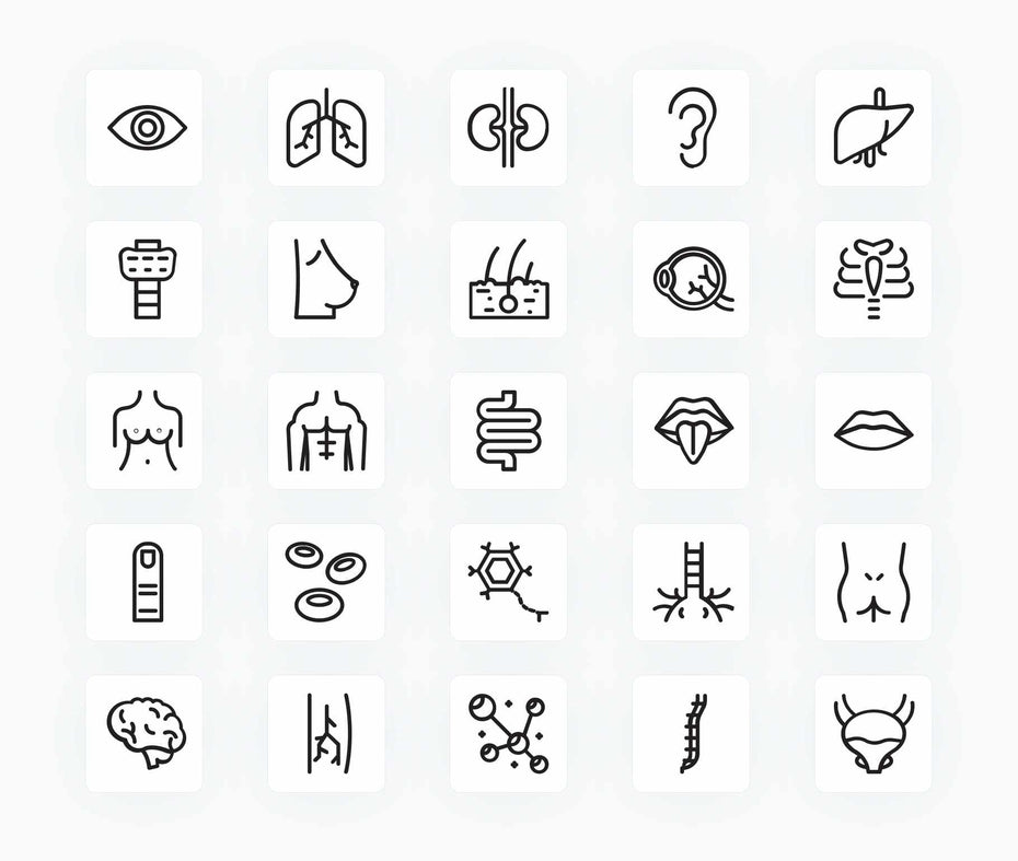 Anatomy-Outline-Vector-Icons Icons Anatomy Outline Vector Icons S12172101 powerpoint-template keynote-template google-slides-template infographic-template
