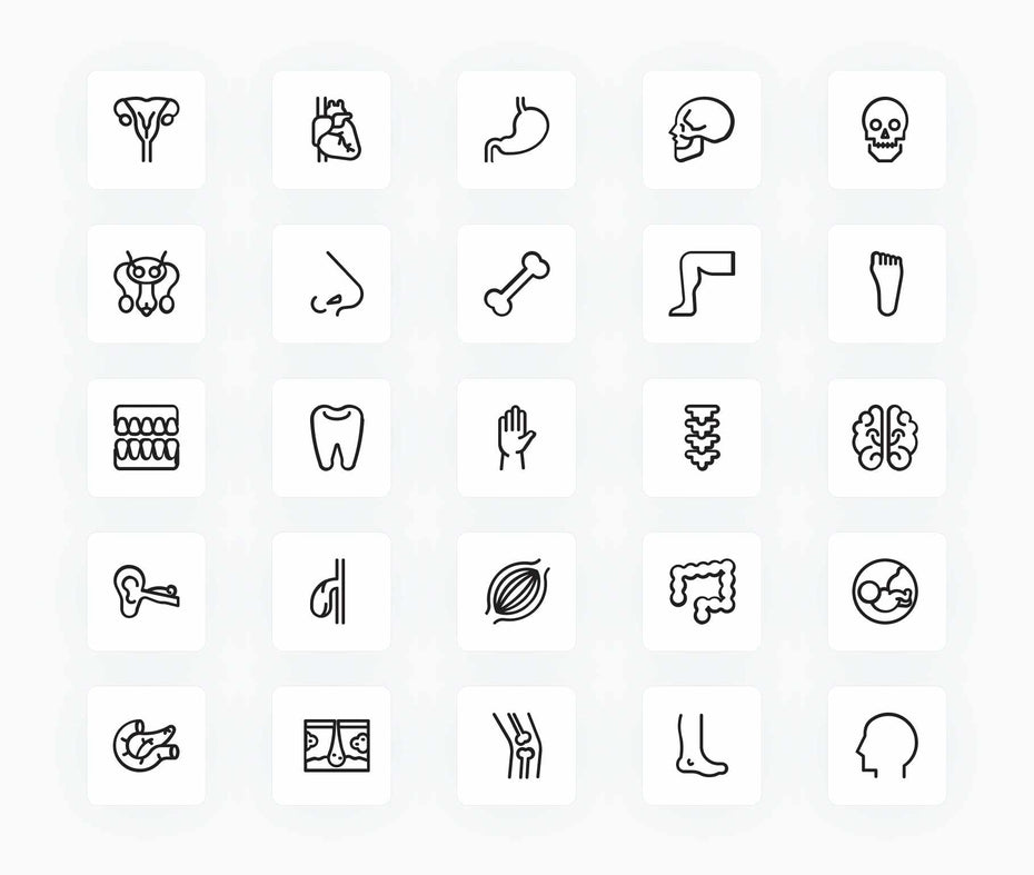 Anatomy-Outline-Vector-Icons Icons Anatomy Outline Vector Icons S12172102 powerpoint-template keynote-template google-slides-template infographic-template
