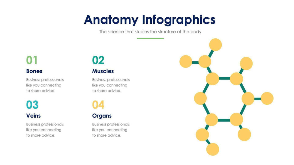 Anatomy Slide Infographic Template S11192103-Slides-Anatomy-Slides-Powerpoint-Keynote-Google-Slides-Adobe-Illustrator-Infografolio