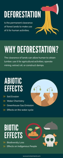 Customizable Environmental Deforestation Infographic Template