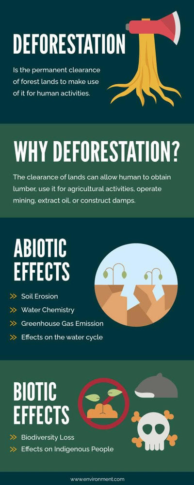 Customizable Environmental Deforestation Infographic Template