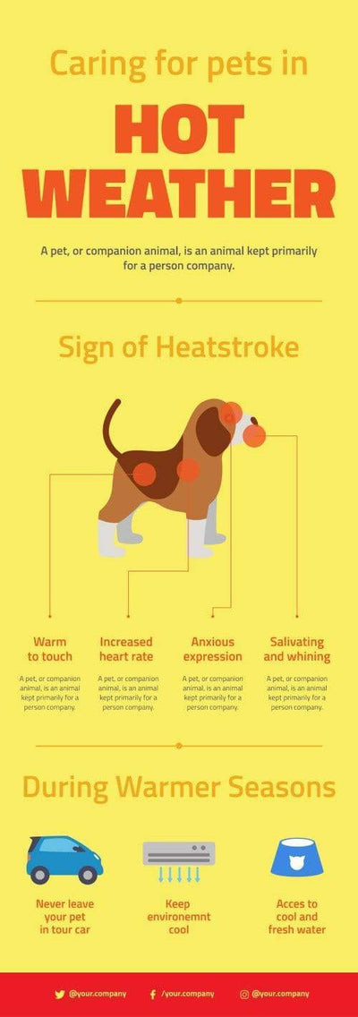 Pet-Care-Infographics-V02-Pet-Care-Powerpoint-Keynote-Google-Slides-Adobe-Illustrator-Infografolio
